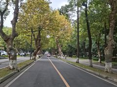 -四川大学(望江校区)