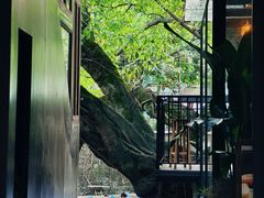 -偏岩古镇