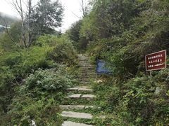 -康定跑马山风景区