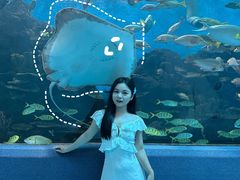 -合肥海洋世界