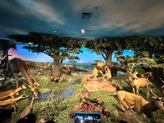 -国家自然博物馆