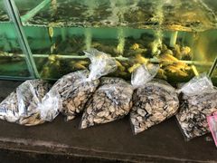 -蚝乡农庄(铁涌赤岸店)