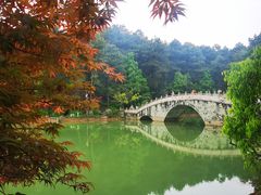 -铁山坪森林公园