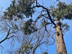 -终南山南五台景区