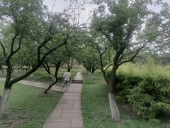 -成都中医药大学(温江校区)