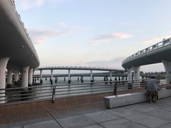 -演武大桥观景平台