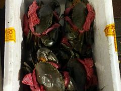 -桥底辣蟹(谢斐道店)