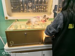 -邵老师打金·黄金加工(大望路总店)