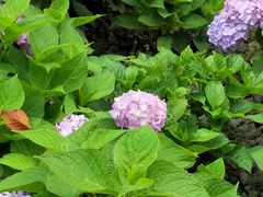 -新天地活力PARK