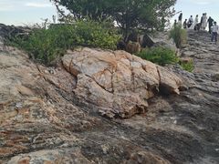 -碧桂园十里银滩