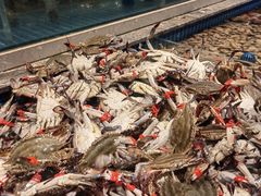 -一方渔歌蒸汽海鲜自助(文化路万达广场店)