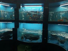 -千岛湖小鱼儿·淳安匠心农家菜