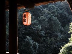 -阿哈湖国家湿地公园