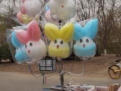 -桃花堤公园
