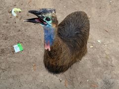 -西霞口神雕山野生动物世界