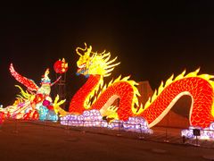 -武汉园博园(武汉自然博物馆)