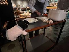 -庐灶江南·江南菜·四合院Bistro(东直门雍和宫·原华侨宾馆店)