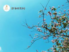 -桃花涧