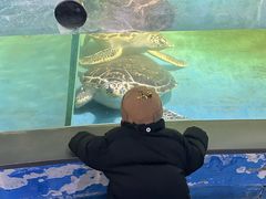 -常州海昌海洋探索馆