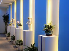 -爱氧森林·日本兴百世SHENPIX微高压氧舱