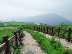 -阳台山自然风景区