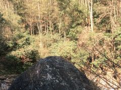 -黄山翡翠谷景区