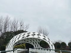 -同里国家湿地公园