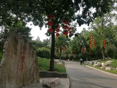 -丰台花园