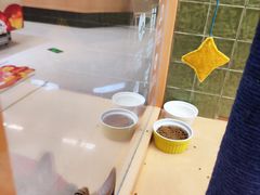 -帕帕拉兹宠物(亚洲旗舰店)