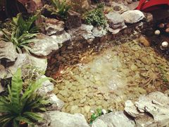 -綱元·海鲜豆捞(明州里店)