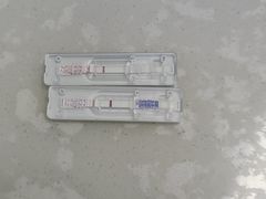 -太原东方动物医院(小店分院)