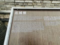 -黄贤森林公园