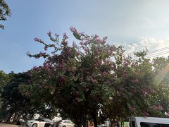 -喜洲吧·江畔老船厂·庭院餐厅(喜临院店)