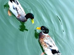 -白马涧龙池景区