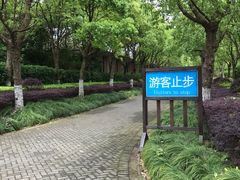 -上海海湾国家森林公园