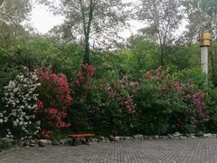 -永定河休闲森林公园