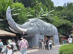 -野象谷景区