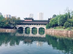 -重庆彩云湖湿地公园