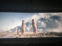 -嘉华国际影城(学清路店)