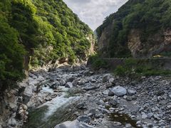 -黑河国家森林公园