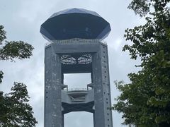 -正宗梧州牛肠酸