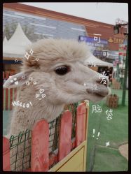 -萌宠亲子动物乐园(槐房万达店)