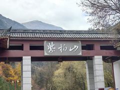 -秦岭风景区