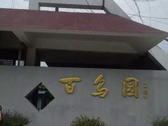 百鸟园-百鸟园