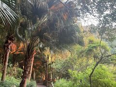 -水濂山森林公园