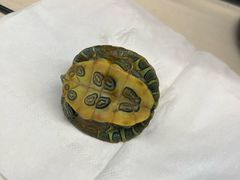 -西安软件新城软件研发基地2期