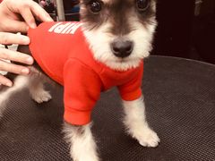 -FAELING PETS美天灵宠物(富力广场店)