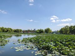 -长春市南湖公园