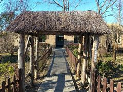 -盐城丹顶鹤湿地生态旅游区