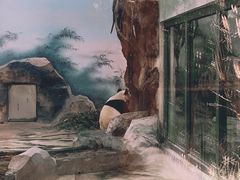 -苏州太湖国家湿地公园